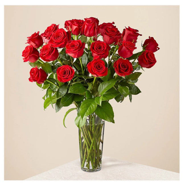 Vased Roses