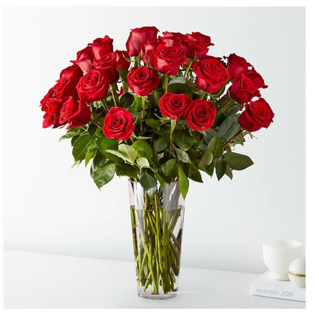 Vased Roses