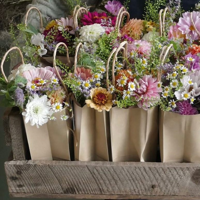 Bloom Send-Off