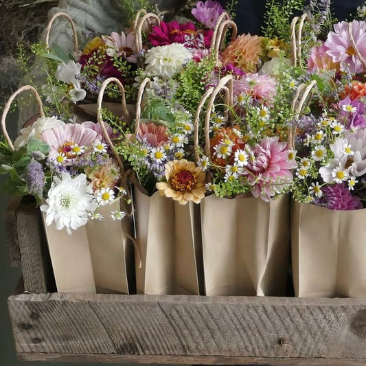 Bloom Send-Off
