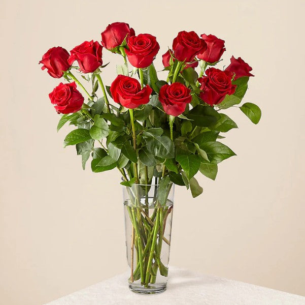 Vased Roses