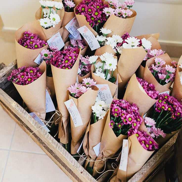 Bloom Send-Off