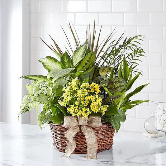 Sympathy Garden Basket
