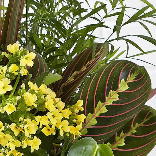 Sympathy Garden Basket